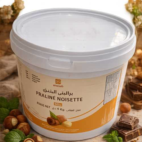 Praliné Noisette 50% 4KG ECOMAB